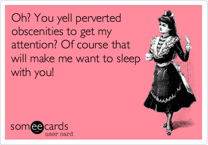 Oh? You yell perverted
obscenities to get my
attention? Of course that
will make me want to sleep
with you! 