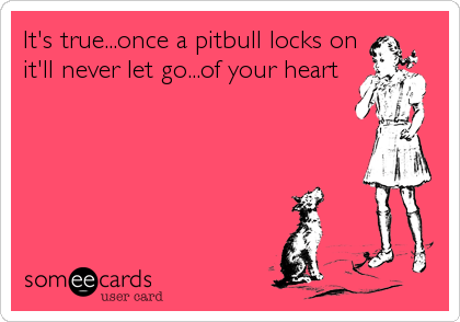It's true...once a pitbull locks on
it'll never let go...of your heart