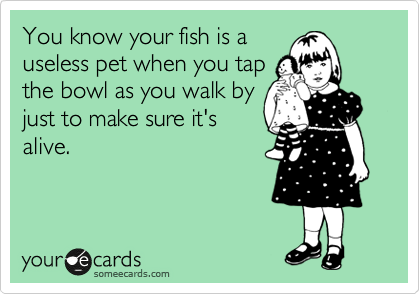 You know your fish is a
useless pet when you tap
the bowl as you walk by
just to make sure it's
alive.