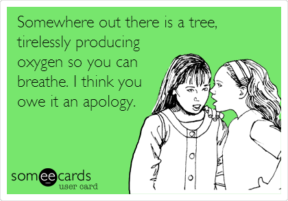 Somewhere out there is a tree,ï»¿
tirelessly producing
oxygen so you can
breathe. I think you
owe it an apology.