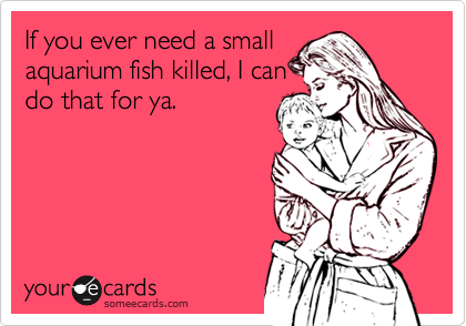 If you ever need a small
aquarium fish killed, I can
do that for ya.