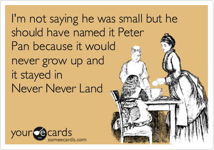 I'm not saying he was small but he
should have named it Peter
Pan because it would
never grow up and
it stayed in 
Never Never Land
