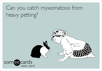 Can you catch myxomatosis from
heavy petting?