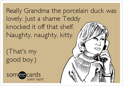 Really Grandma the porcelain duck was
lovely. Just a shame Teddy
knocked it off that shelf.
Naughty, naughty, kitty.

(That's my 
good boy.)