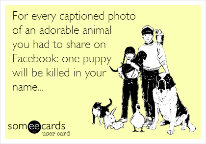 For every captioned photo
of an adorable animal
you had to share on
Facebook: one puppy
will be killed in your
name...