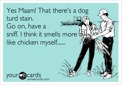 Yes Maam! That there's a dog
turd stain.
Go on, have a
sniff. I think it smells more
like chicken myself.......