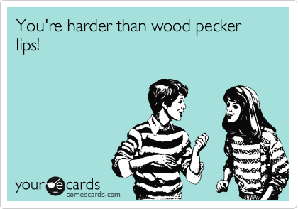 You're harder than wood pecker lips!
