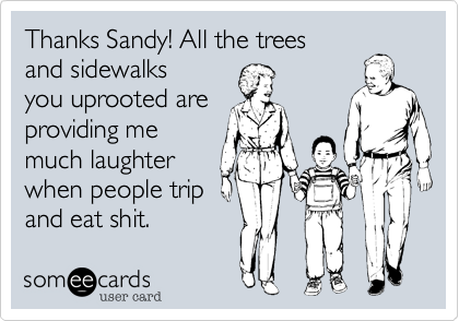 Thanks Sandy! All the trees
and sidewalks
you uprooted are
providing me
much laughter
when people trip 
and eat shit. 