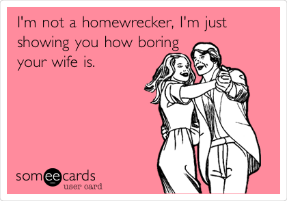 I'm not a homewrecker, I'm just
showing you how boring
your wife is. 