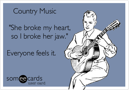 Country Music She Broke My Heart So I Broke Her Jaw Everyone