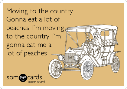 Moving to the country 
Gonna eat a lot of
peaches I`m moving
to the country I`m
gonna eat me a
lot of peaches