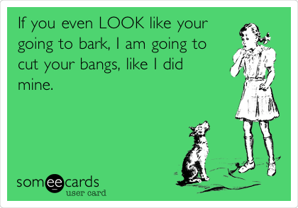 If you even LOOK like your
going to bark, I am going to
cut your bangs, like I did
mine. 
