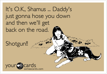 It's O.K., Shamus ... Daddy's
just gonna hose you down 
and then we'll get 
back on the road.

Shotgun!!

