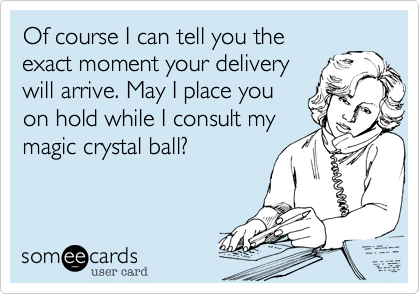 Of course I can tell you the
exact moment your delivery
will arrive. May I place you
on hold while I consult my
magic crystal ball? 