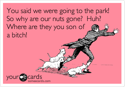You said we were going to the park!   So why are our nuts gone?  Huh?  Where are they you son of
a bitch!