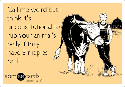Call me weird but I
think it's
unconstitutional to
rub your animal's
belly if they
have 8 nipples
on it. 