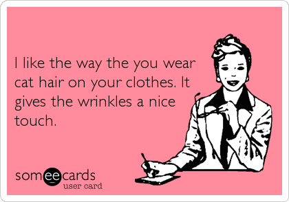 

I like the way the you wear
cat hair on your clothes. It
gives the wrinkles a nice
touch.