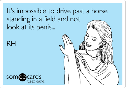 It's impossible to drive past a horse standing in a field and not
look at its penis...  

RH