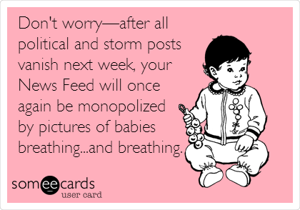 Don't worryâ€”after all
political and storm posts
vanish next week, your
News Feed will once
again be monopolized
by pictures of babies
breathing...and breathing.