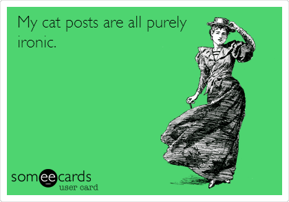 My cat posts are all purely
ironic. 