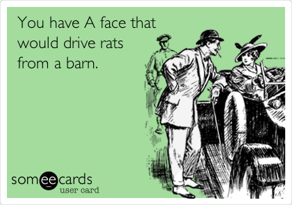 You have A face that
would drive rats
from a barn.

