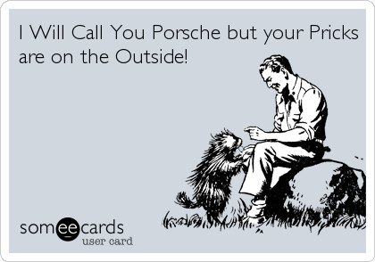 I Will Call You Porsche but your Pricks
are on the Outside!