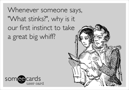 Whenever someone says, 
"What stinks?", why is it
our first instinct to take
a great big whiff?