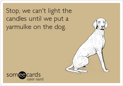 Stop, we can't light the 
candles until we put a 
yarmulke on the dog.
