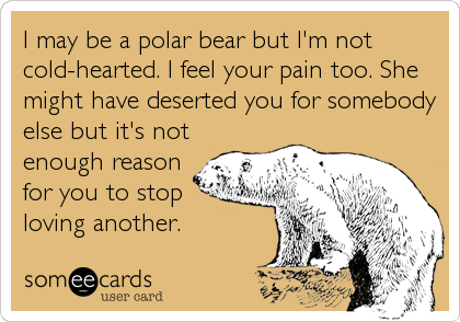 I may be a polar bear but I'm not
cold-hearted. I feel your pain too. She
might have deserted you for somebody
else but it's not
enough reason
for you to stop
loving another.
