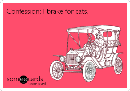 Confession: I brake for cats.