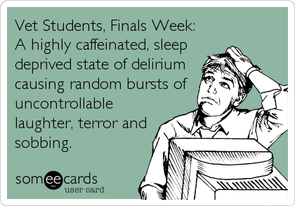 Vet Students, Finals Week:
A highly caffeinated, sleep
deprived state of delirium
causing random bursts of
uncontrollable
laughter, terror and
sobbing.