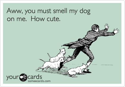 Aww, you must smell my dog
on me.  How cute.