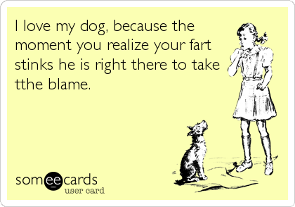 I love my dog, because the
moment you realize your fart
stinks he is right there to take
tthe blame.
