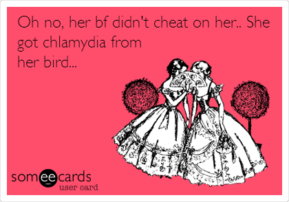 Oh no, her bf didn't cheat on her.. She
got chlamydia from
her bird...