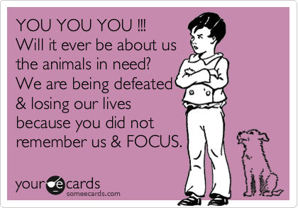 YOU YOU YOU !!! 
Will it ever be about us
the animals in need?
We are being defeated
& losing our lives
because you did not
remember us & FOCUS.
