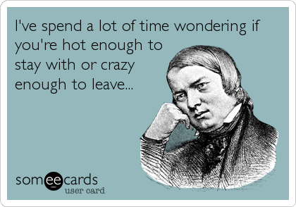 I've spend a lot of time wondering if
you're hot enough to
stay with or crazy
enough to leave...