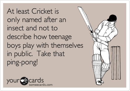 At least Cricket is
only named after an
insect and not to
describe how teenage
boys play with themselves
in public.  Take that
ping-pong!