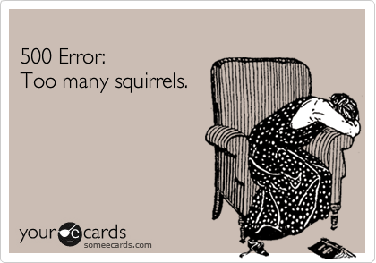 
500 Error: 
Too many squirrels. 

%23whyiloveit