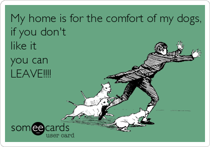 My home is for the comfort of my dogs, 
if you don't 
like it 
you can
LEAVE!!!!
