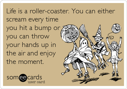 Life is a roller-coaster. You can either
scream every time
you hit a bump or
you can throw
your hands up in
the air and enjoy
the moment.