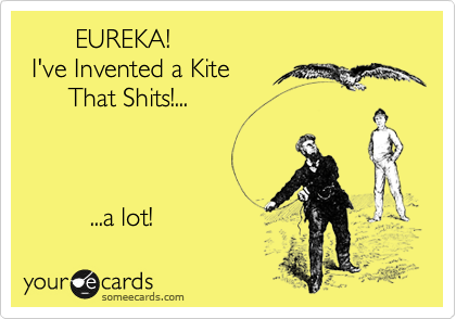        EUREKA!
 I've Invented a Kite
      That Shits!...



         ...a lot! 