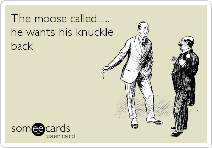 The moose called......
he wants his knuckle
back
