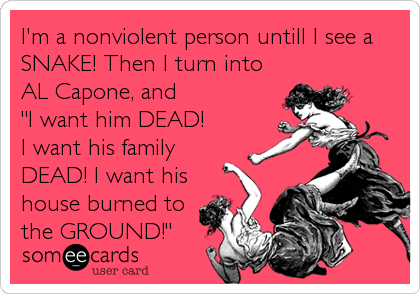I'm a nonviolent person untill I see a
SNAKE! Then I turn into 
AL Capone, and 
"I want him DEAD!
I want his family
DEAD! I want his
house burned to
the GROUND!"