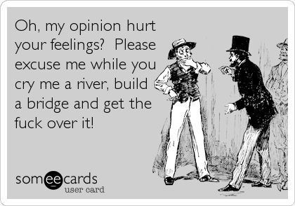 Oh, my opinion hurt
your feelings?  Please
excuse me while you
cry me a river, build
a bridge and get the
fuck over it!