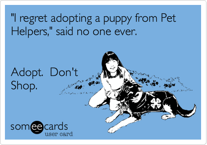 "I regret adopting a puppy from Pet Helpers%2C" said no one ever.


Adopt.  Don't
Shop.