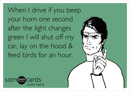 When I drive if you beep
your horn one second
after the light changes
green I will shut off my
car, lay on the hood &
feed birds for an hour.