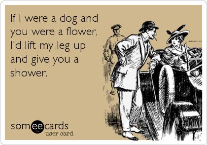 If I were a dog and
you were a flower,
I'd lift my leg up
and give you a
shower.