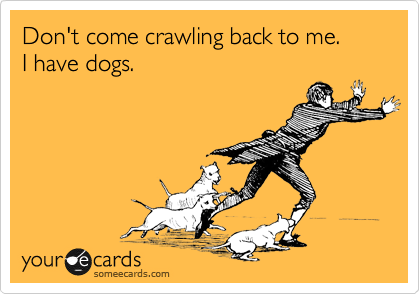 Don't come crawling back to me. 
I have dogs.