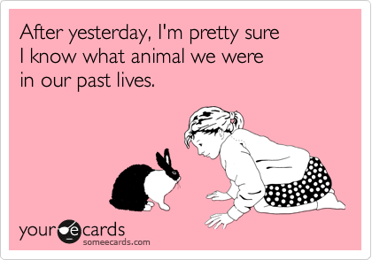 After yesterday, I'm pretty sure 
I know what animal we were 
in our past lives.