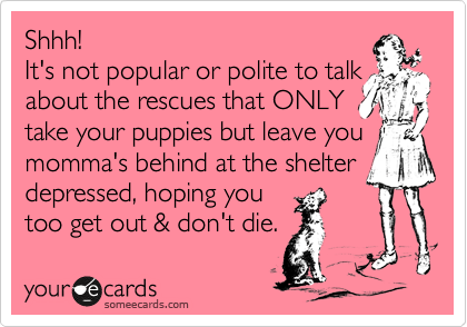 Shhh! 
It's not popular or polite to talk
about the rescues that ONLY
take your puppies but leave you
momma's behind at the shelter
depressed, hoping you
too get out & don't die. 